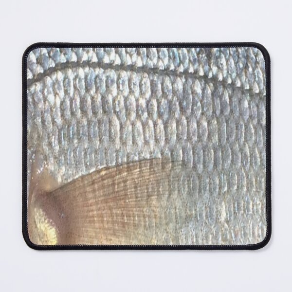 Item preview, White Perch Scales (Natural) Skin Pattern  designed and sold by CJRPics.