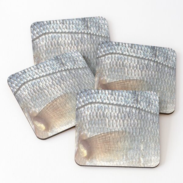 Item preview, White Perch Scales (Natural) Skin Pattern  designed and sold by CJRPics.