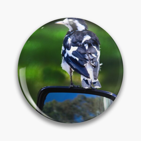 Item preview, Murray magpie on car mirror designed and sold by indiafrankk.