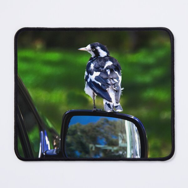 Item preview, Murray magpie on car mirror designed and sold by indiafrankk.
