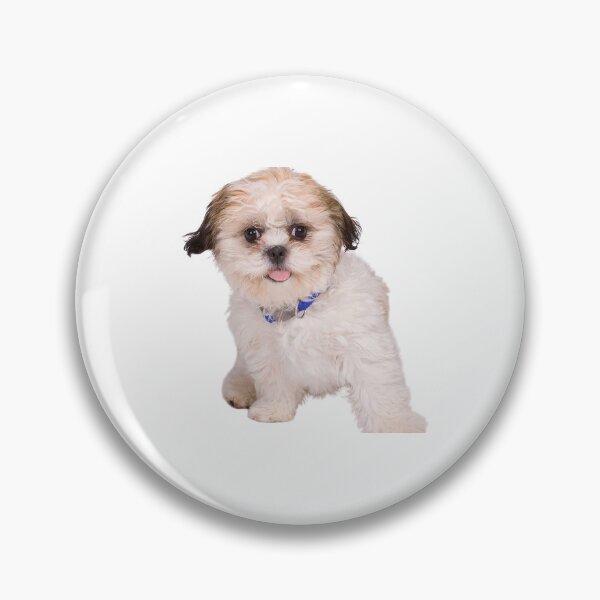 Item preview, Cute shichon dog designed and sold by ROFIN.