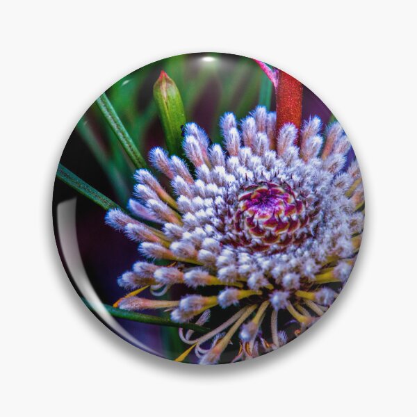 Item preview, Flannel flower designed and sold by indiafrankk.