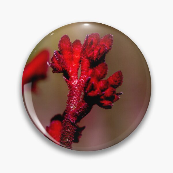 Item preview, Kangaroo Paw designed and sold by indiafrankk.