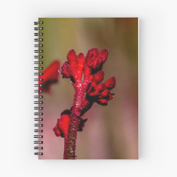 Item preview, Kangaroo Paw designed and sold by indiafrankk.