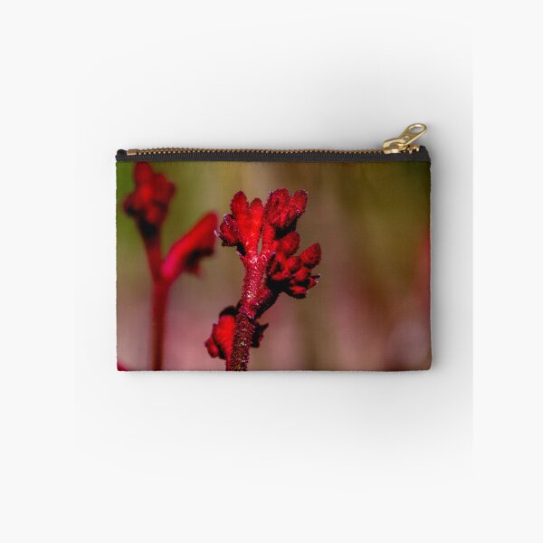 Item preview, Kangaroo Paw designed and sold by indiafrankk.