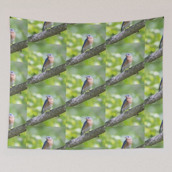 Item preview, Eastern Bluebird on a nice summer day designed and sold by BirdsnStuff.