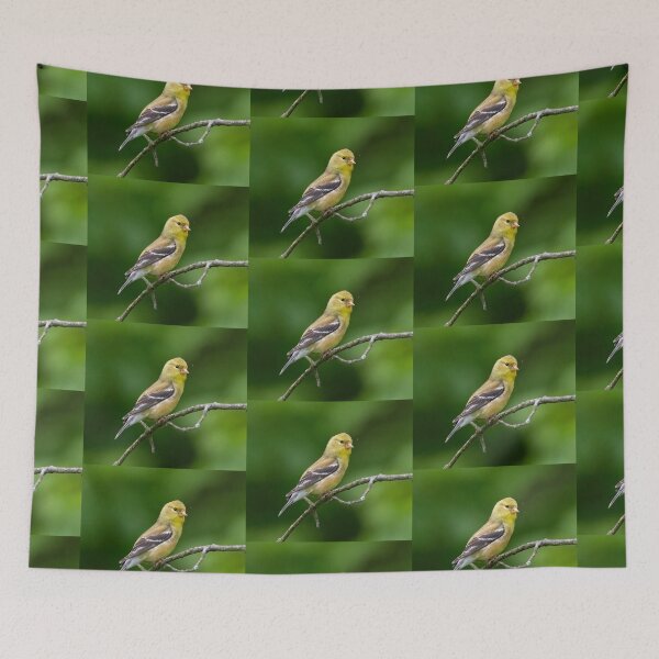 Item preview, American Goldfinch on a beautiful Spring Day designed and sold by BirdsnStuff.