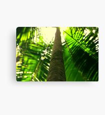natures umbrella Canvas Print