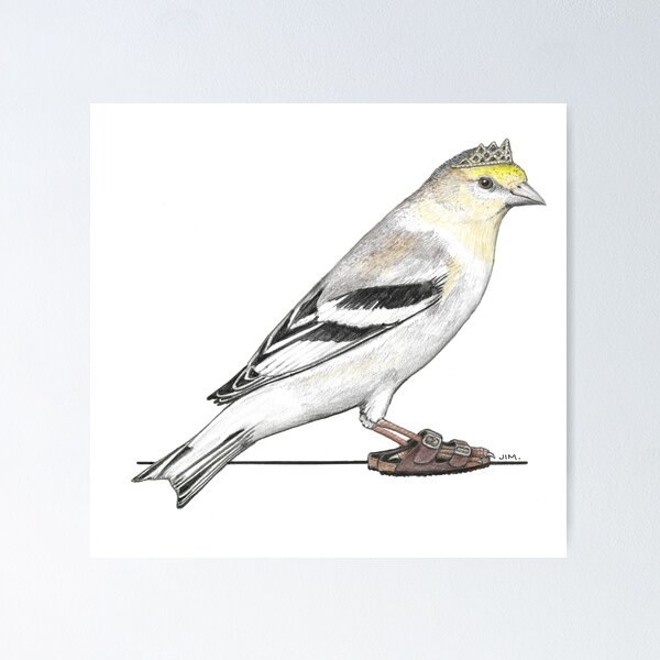 Item preview, Goldfinch in Birkenstocks designed and sold by JimsBirds.