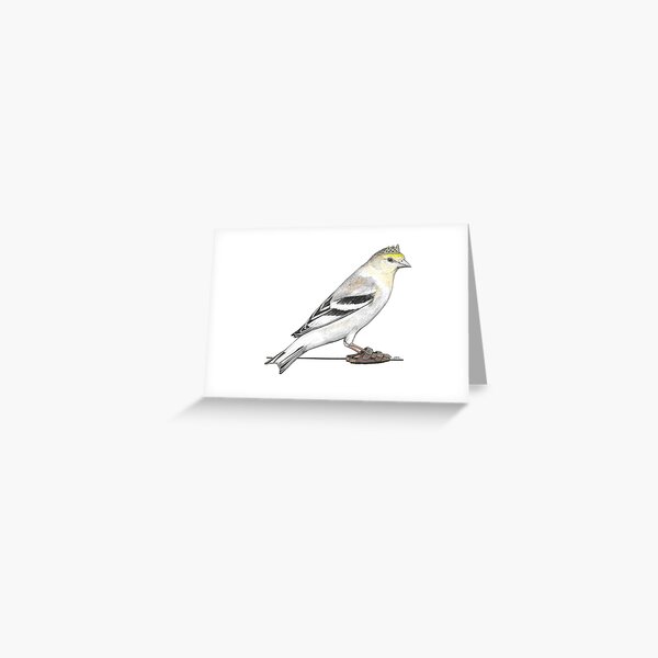 Item preview, Goldfinch in Birkenstocks designed and sold by JimsBirds.