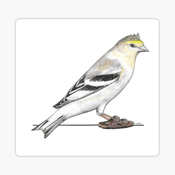 Item preview, Goldfinch in Birkenstocks designed and sold by JimsBirds.