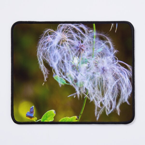Item preview, Old man's beard designed and sold by indiafrankk.
