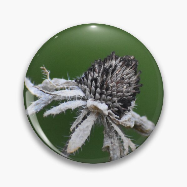 Item preview, Still has a purpose  designed and sold by Tonia Delozier's Photography .