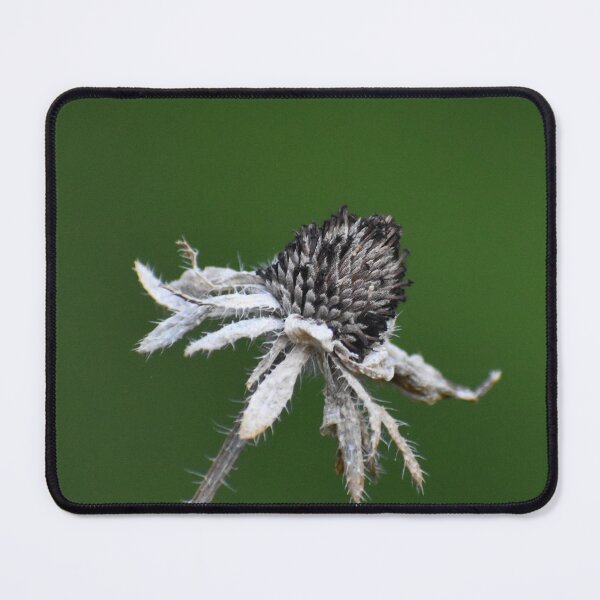 Item preview, Still has a purpose designed and sold by Tonia Delozier's Photography .