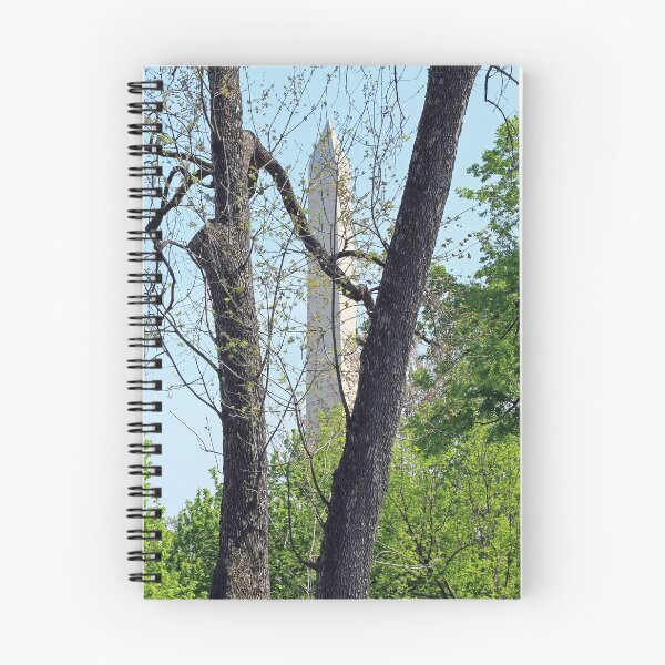 Item preview, Playing Hide-And-Seek With The Washington Monument designed and sold by Cora Wandel.