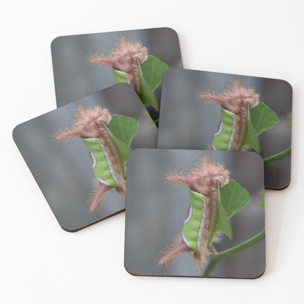 Item preview, Saddleback caterpillar  designed and sold by Tonia Delozier's Photography .