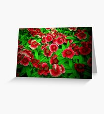 Bright Blessings Greeting Card