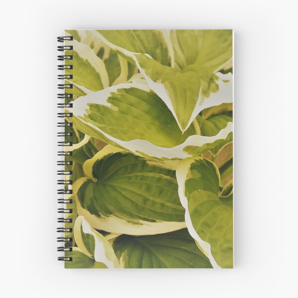 Item preview, Camouflage designed and sold by Fara.