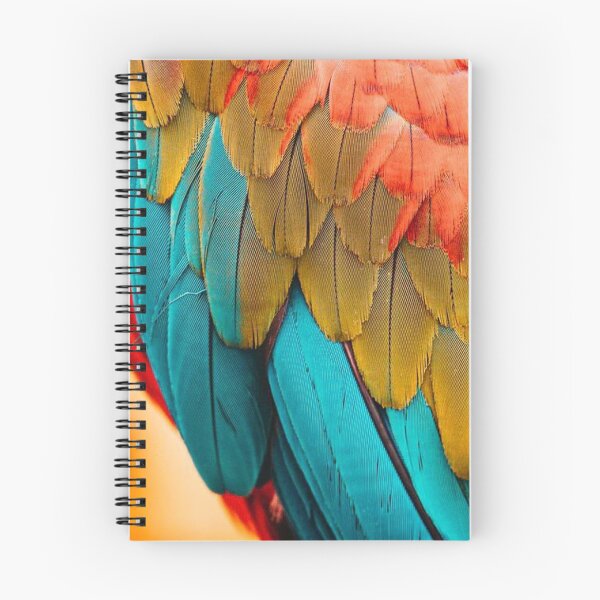 Aperçu de l'œuvre Couleur créée et vendue par treeforcats.