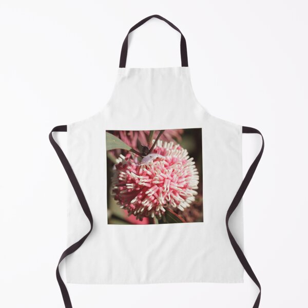 Item preview, Pincushion Hakea, Hakea laurina designed and sold by Merrilyn Serong.