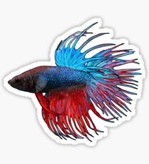 Betta Crowntail Sticker