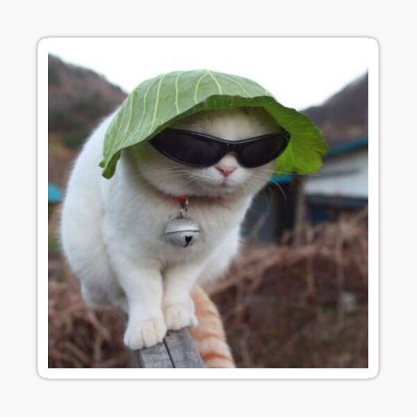 veggie cat Sticker