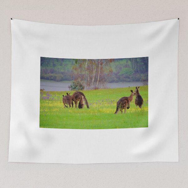 Item preview, Talbingo Roos  designed and sold by D-GaP.