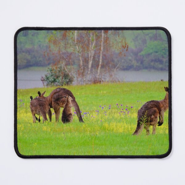 Item preview, Talbingo Roos  designed and sold by D-GaP.
