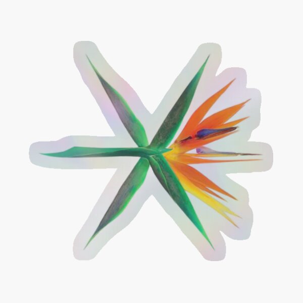 sh,small,507x507-pad,600x600,