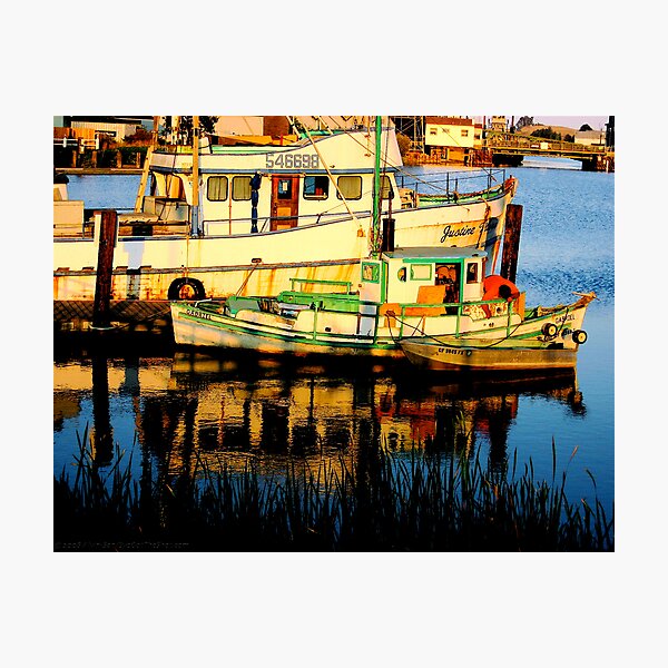Twilight Cove Photographic Print