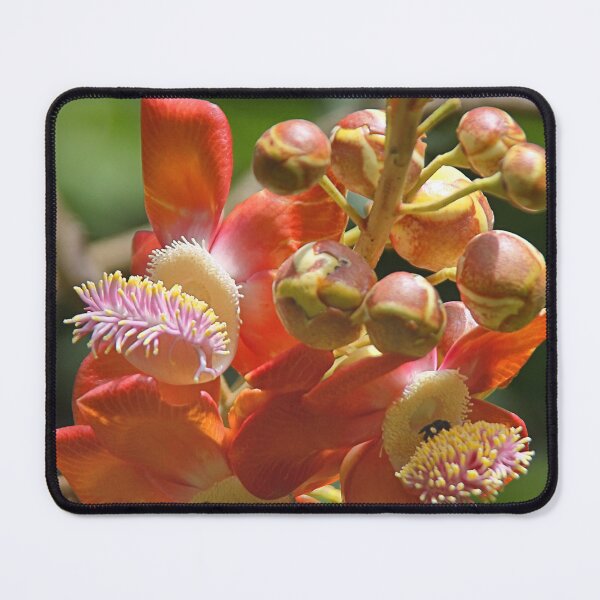 Item preview, Cannonball Tree Flowers and Buds designed and sold by Carole-Anne.