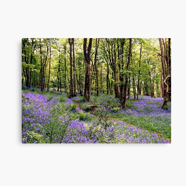 Item preview, Bluebells at Whitemoss Common near Grasmere designed and sold by Martin Lawrence.