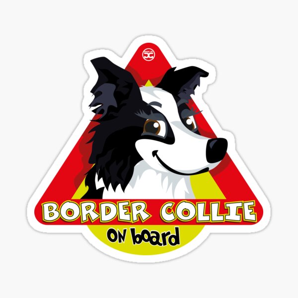 Border Collie On Board - Black & White Female Sticker