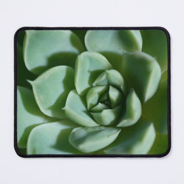 Item preview, Petalled Succulent - Agave designed and sold by Carole-Anne.