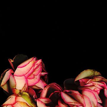 Artwork thumbnail, Rose Cascade 1 Dark Floral by LindasPhotoArt