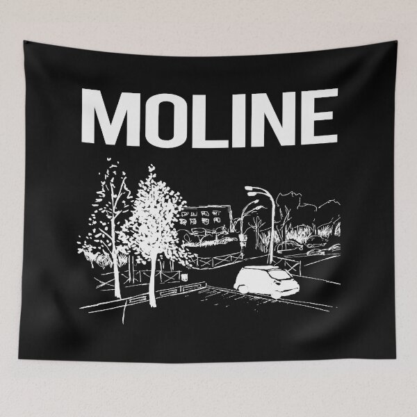 Item preview, Street Sketch Moline designed and sold by Maxxamus.