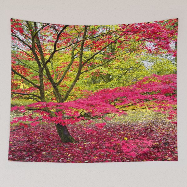 Item preview, Japanese maple (Acer palmatum)  designed and sold by Andy Harker.