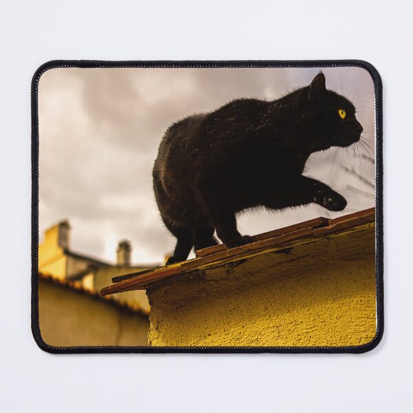 Item preview, Parisian Street Cats 1 designed and sold by LePertti.