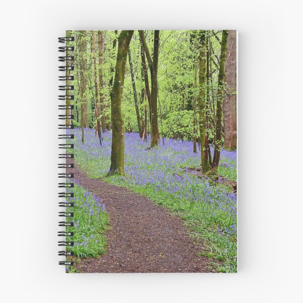 Item preview, Bluebells designed and sold by Paul Crabtree.