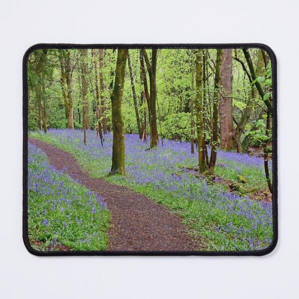 Item preview, Bluebells designed and sold by Paul Crabtree.