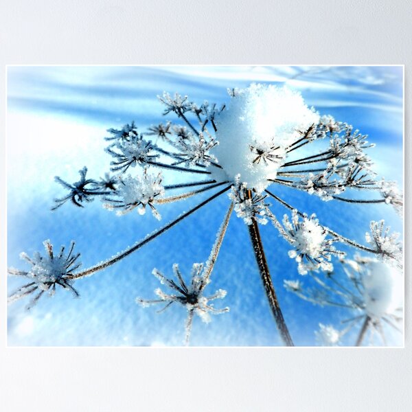 Item preview, Frosted Beauty designed and sold by angel1.