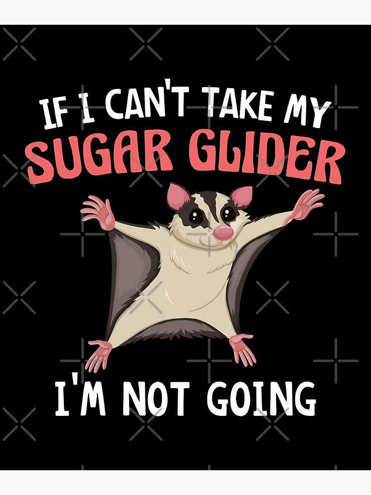 If I Can'T Take My Sugar Glider I'M Not Going, Cute Sugar Glider.