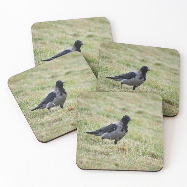 Item preview, Hooded crow watching designed and sold by Jouko Lehto Photography.