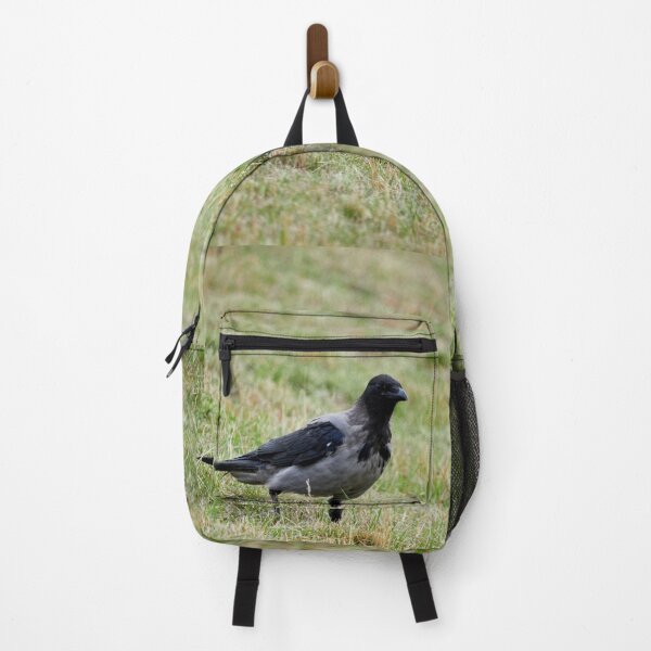 Item preview, Hooded crow watching designed and sold by Jouko Lehto Photography.