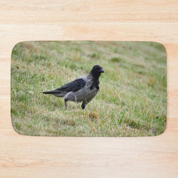 Item preview, Hooded crow watching designed and sold by Jouko Lehto Photography.