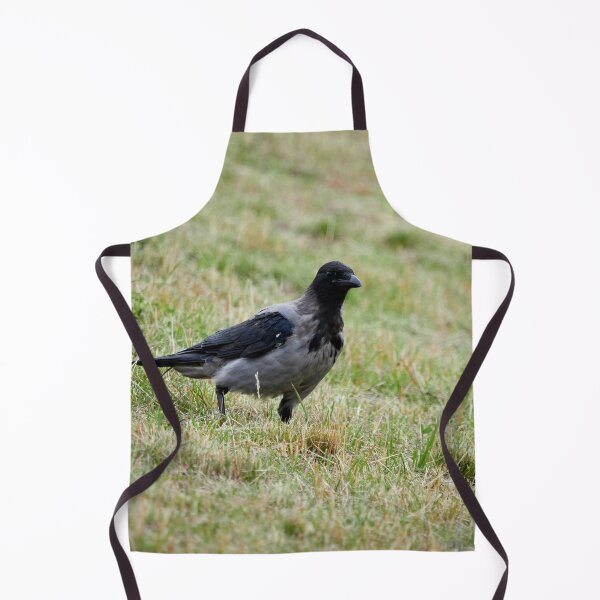 Item preview, Hooded crow watching designed and sold by Jouko Lehto Photography.