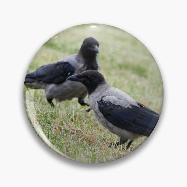 Item preview, Make it two. Hooded crow designed and sold by Jouko Lehto Photography.