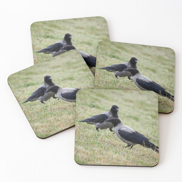 Item preview, Make it two. Hooded crow designed and sold by Jouko Lehto Photography.