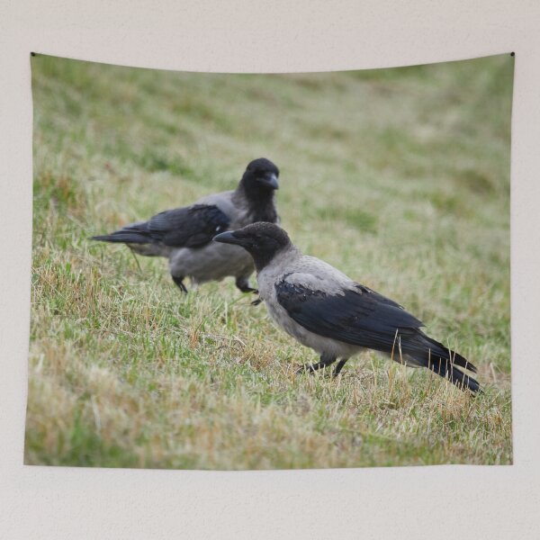 Item preview, Make it two. Hooded crow designed and sold by Jouko Lehto Photography.