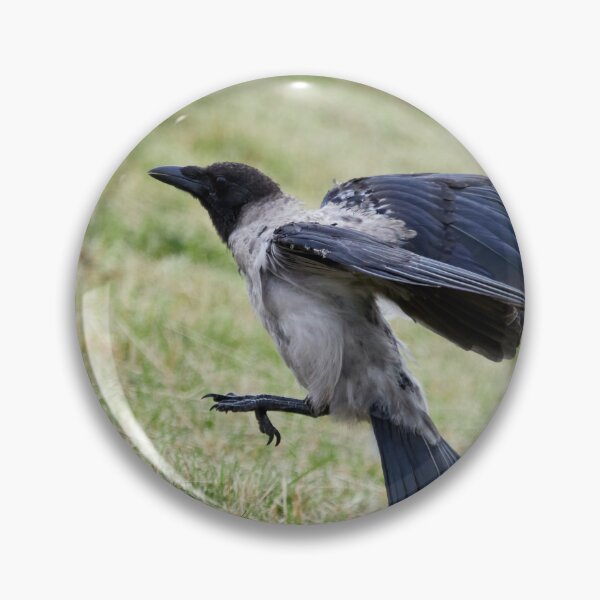 Item preview, Jump and go.Hooded crow designed and sold by Jouko Lehto Photography.